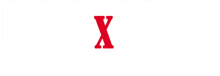 PRAxIS GROUP NV LOGO INVERSED